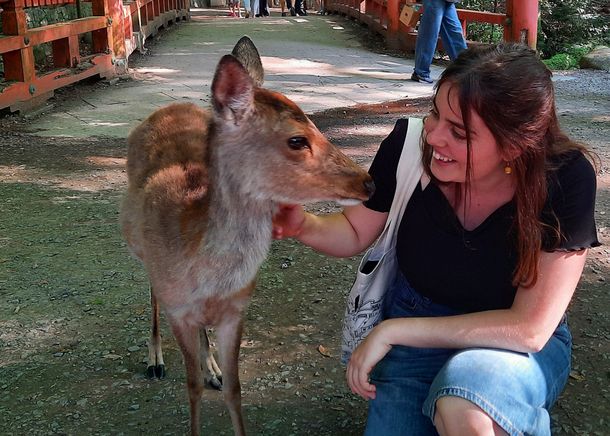 Im Nara-Park trifft Luisa Moos auf ein zutrauliches Reh.