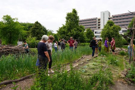 BNE trifft MINT-Workshop "Permakultur-Gärtnern im Einklang mit der Natur" des THALESruhr TP4