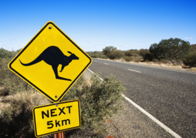 Roadsign Känguru