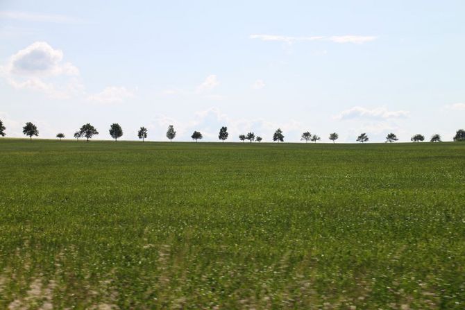 In Reih und Glied am Horizont. Interessante Ausblicke in die Landschaft