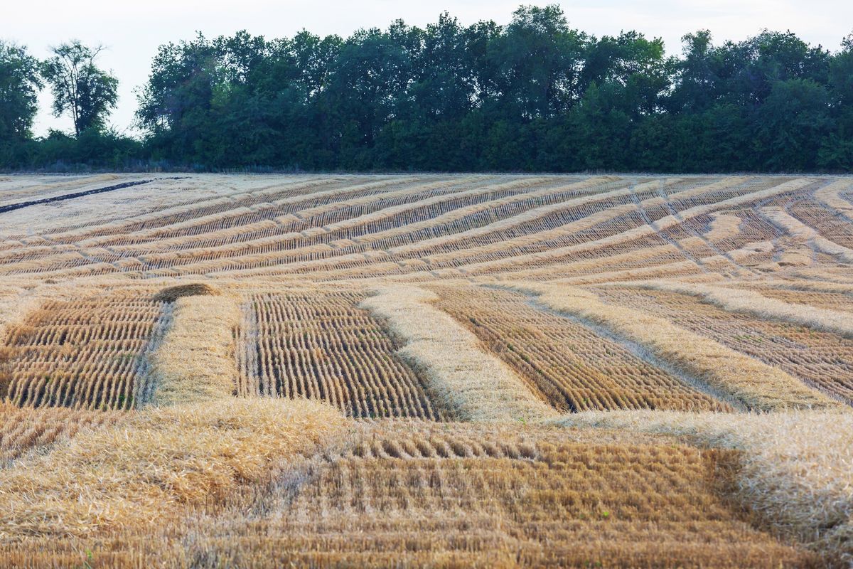 Vom Ende der Landwirtschaft
