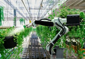 Automatische landwirtschaftliche Technologie-Roboterarm, der Pflanzen bewässert 