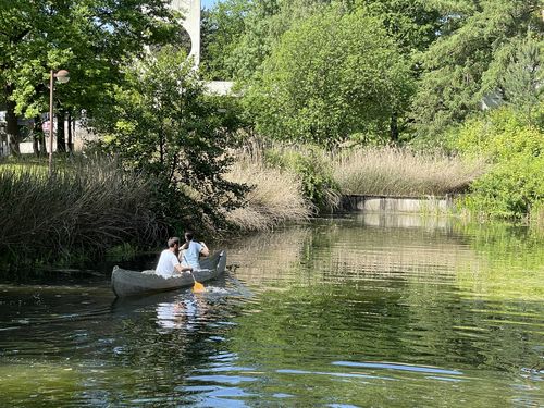 Knau im Wasser