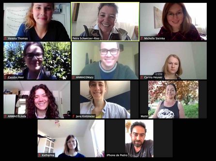 Virtuelle Projektmeetings