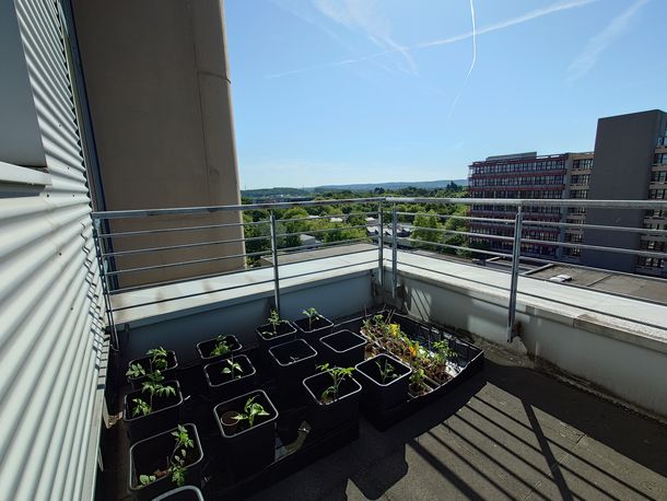 Die Anbau Box der Saatgutbibliothek auf der Terrasse der Fachbibliothek Wirtschaft
