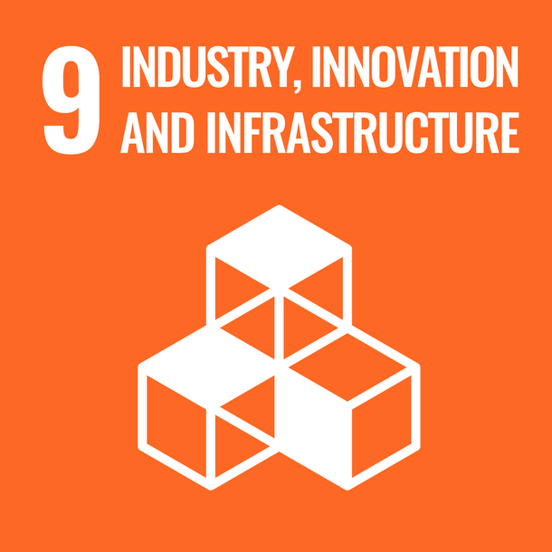 SDG 9: Build resilient infrastructure, promote inclusive and sustainable industrialization and foster innovation