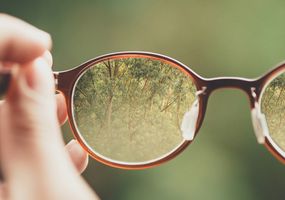 Blick durch ein Brillenglas, so dass im ansonsten unscharfen grünen Hintergrund Details erkennbar sind