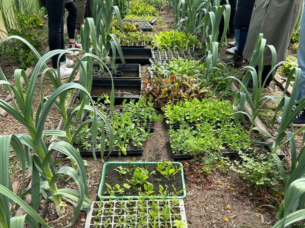 Die Projektstudien "BOase" und "Carbon Sequestration" besuchen den Hof Bergmann