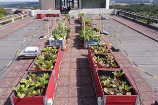 Die Rooftop Farm OnTop auch dem Dach des C-Gebäudes