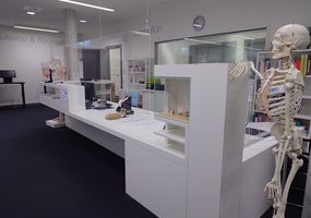 Foto Fachbibliothek Gesundheit: Theke im Vordergrund steht ein Skelett