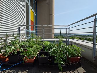 Die Anbau Box der Saatgutbibliothek auf der Terrasse der Fachbibliothek Wirtschaft