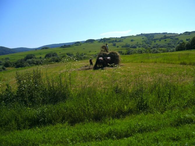 Feldarbeit und Landwirtschaft in weitern Teilen des Landes