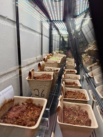 Das Anschauungs-Gewächshaus der Saatgutbibliothek in der Fachbibliothek Technik