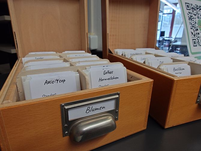 Blick auf die Saatgutbibliothek im Eingangsbereich der Fachbibliothek Technik mit den Saatgutkästen