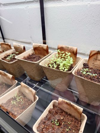 Das Anschauungs-Gewächshaus der Saatgutbibliothek in der Fachbibliothek Technik