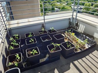 Die Anbau Box der Saatgutbibliothek auf der Terrasse der Fachbibliothek Wirtschaft