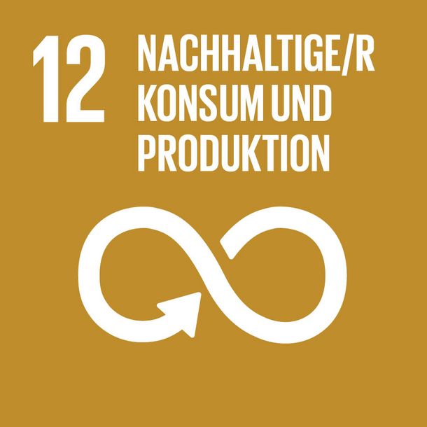 SDG Icon - Nachhaltiger Konsum und Produktion 