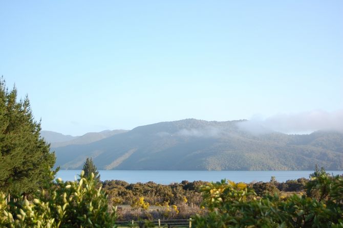 Ausblick aus dem Ferienhaus am Lake Rotoaira