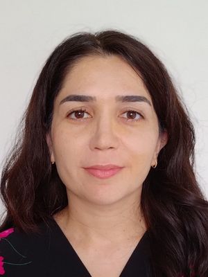 Bengisu Yilmaz Bengisu Yilmaz