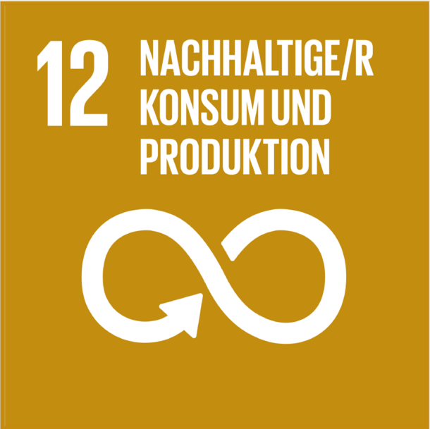 SDG 12 Nachhaltige/r Konsum und Produktion