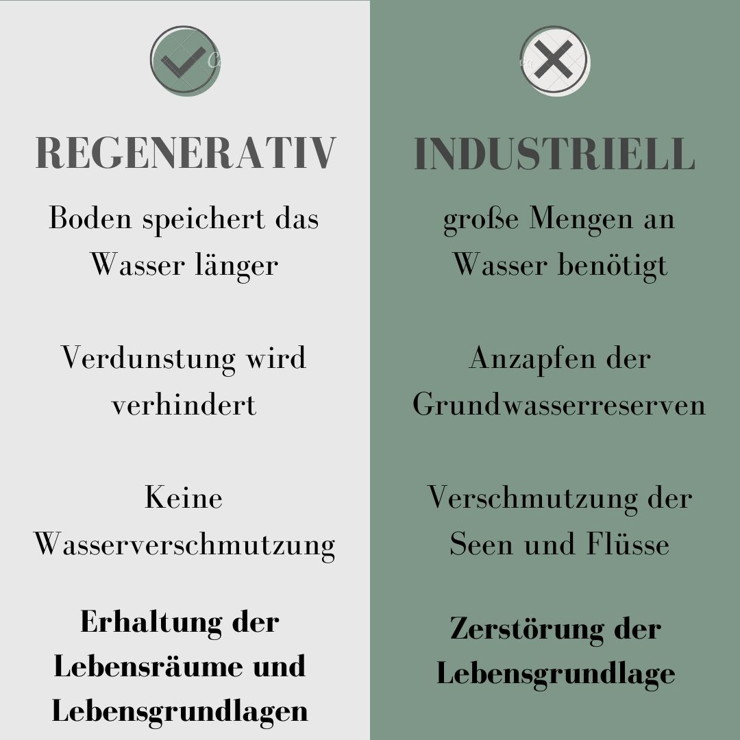 thuja smaragd lebensbaum Lebensbaum Smaragd (Thuja Occidentalis Smaragd) online kaufen bei HS Baum main image 1