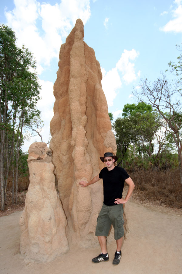 Ausflug in den Litchfield National Park im Northern Territory: 50 Jahre alte Termitenhügel